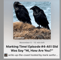 Two black crows standing on dry grass near the coast, with a background of ocean waves.