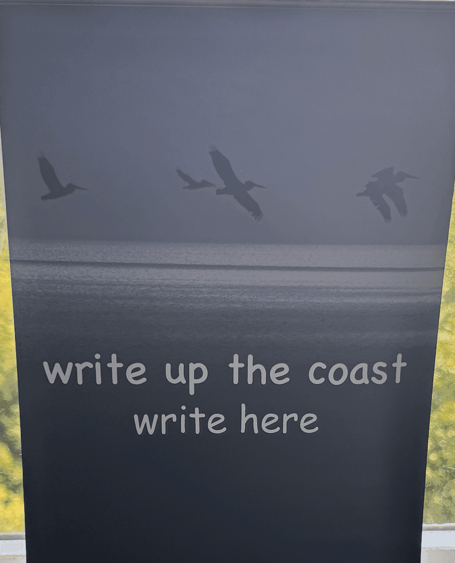 Banner with flying birds silhouette and text: write up the coast, write here.