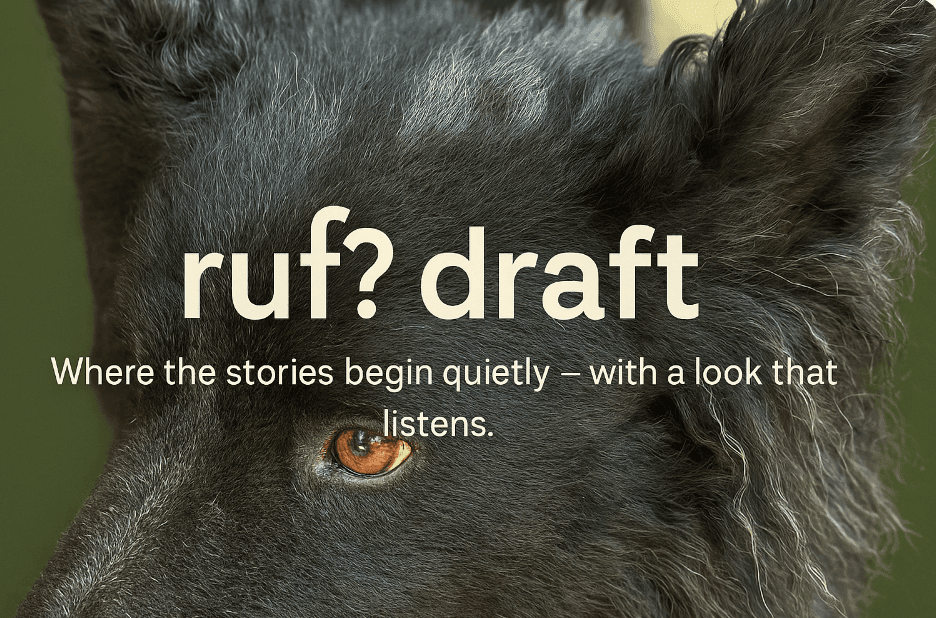 finding your story inside